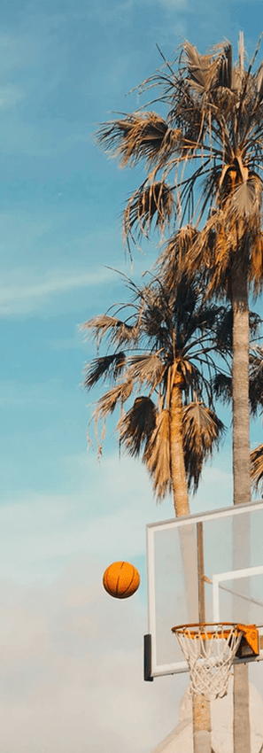 Ball de basket qui rentre dans un panier